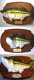 Singing Trout